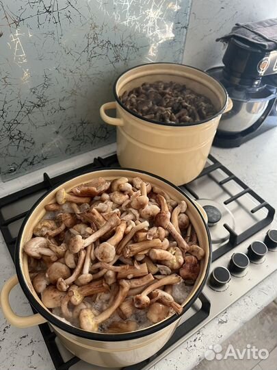 Грибы опята маринованные