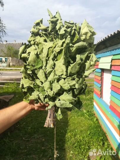 Банные веники