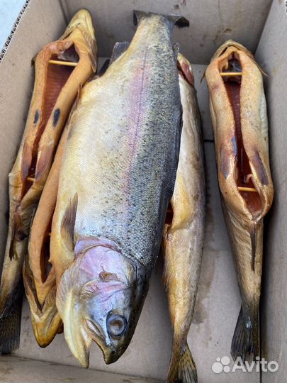 Копченая рыба и мясо