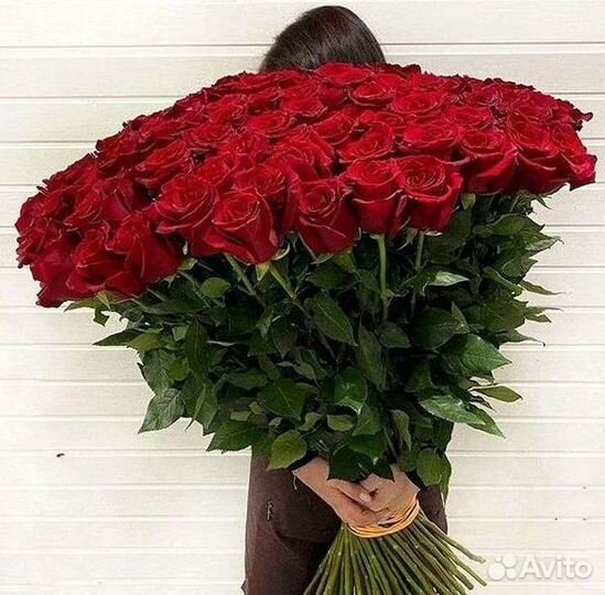 Высокие розы Гигантские розы с доставкой