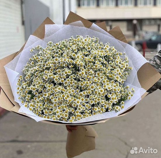 Букеты ромашек