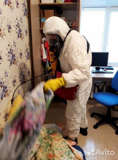 Уничтожение клопов и тараканов дезинфекция