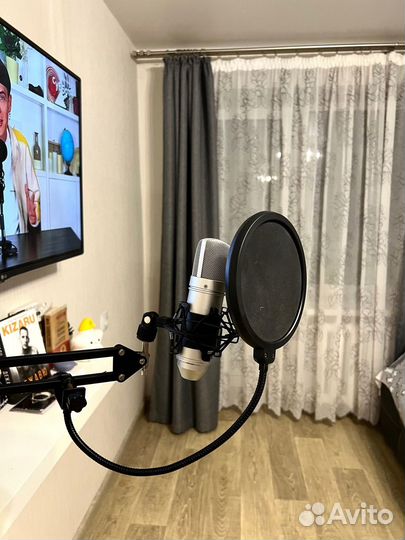 Студийный микрофон Tascam TM-80 + Аксессуары