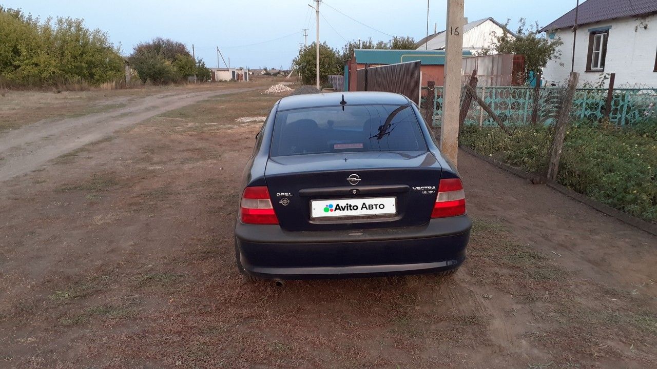 Opel Vectra: фото из отзыва