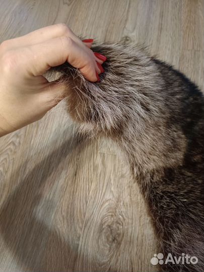 Меховой воротник на капюшон натуральный