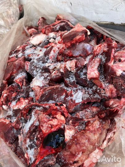 Мясо говядина для собак