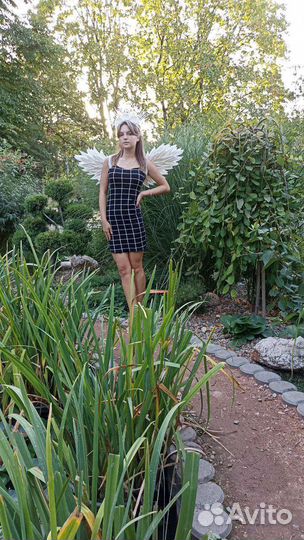 Крылья ангела