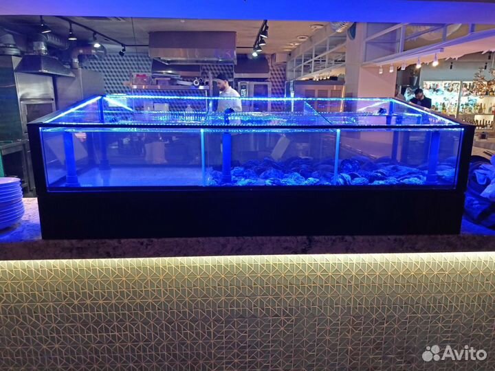 Обслуживание аквариумов с живыми морепродуктами