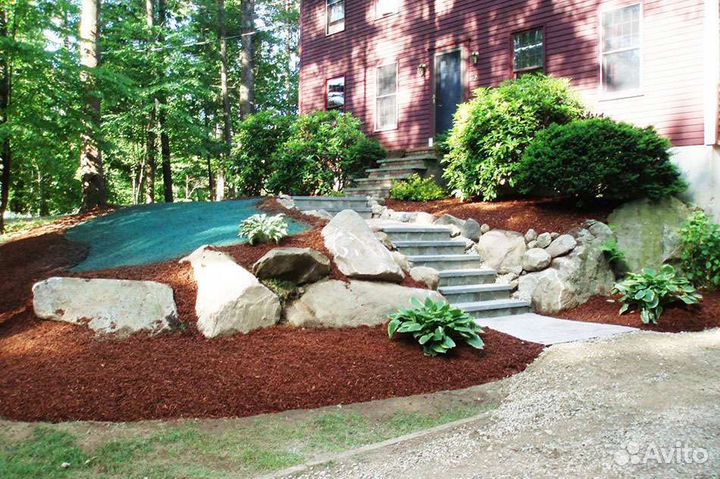 Шелуха кедровой шишки и скорлупа кедрового ореха