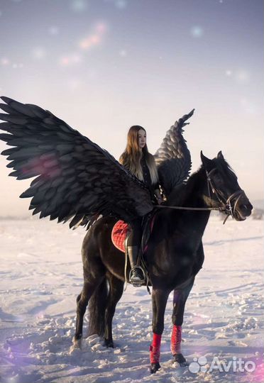 Конные прогулки, фотосессии с лошадьми