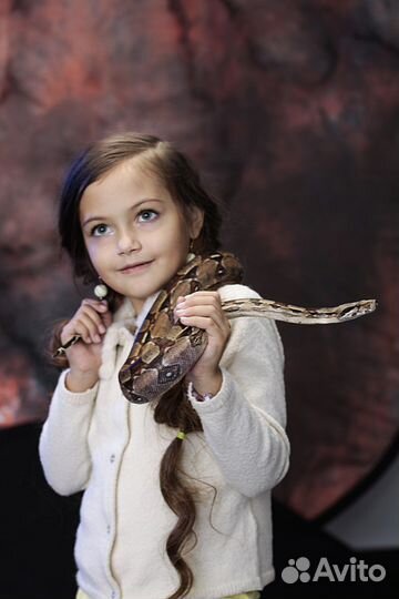 Аренда змей, рептилий