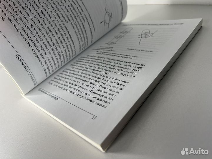 Триначальная акупунктура. Пак Чжэ Ву