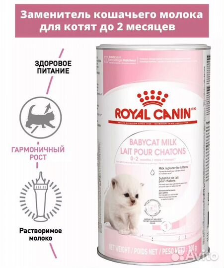 Babycat Milk Royal Canin