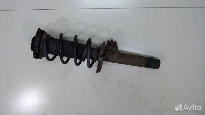 Амортизатор подвески Skoda Octavia (A5), 2011