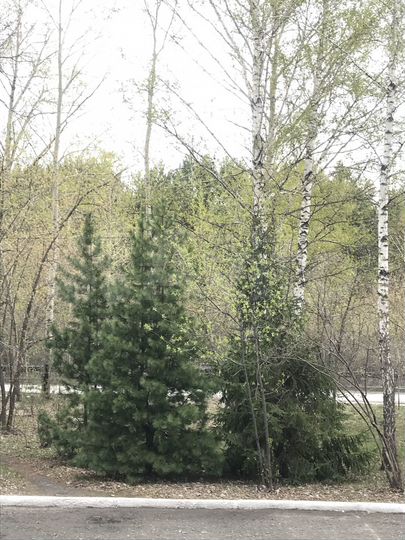 Офис, от 12,5 до 100 м²