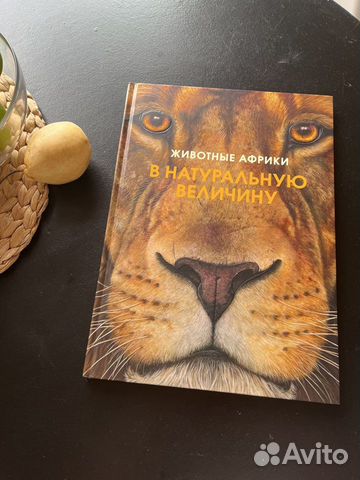 Книга животные африки