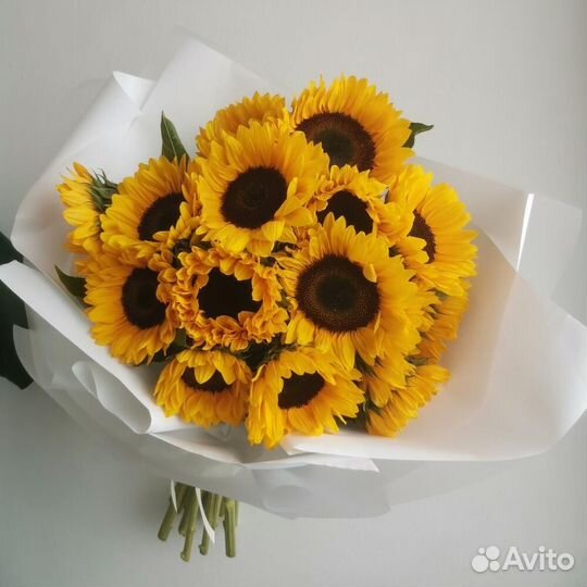 Подсолнух Купить 9 15 21