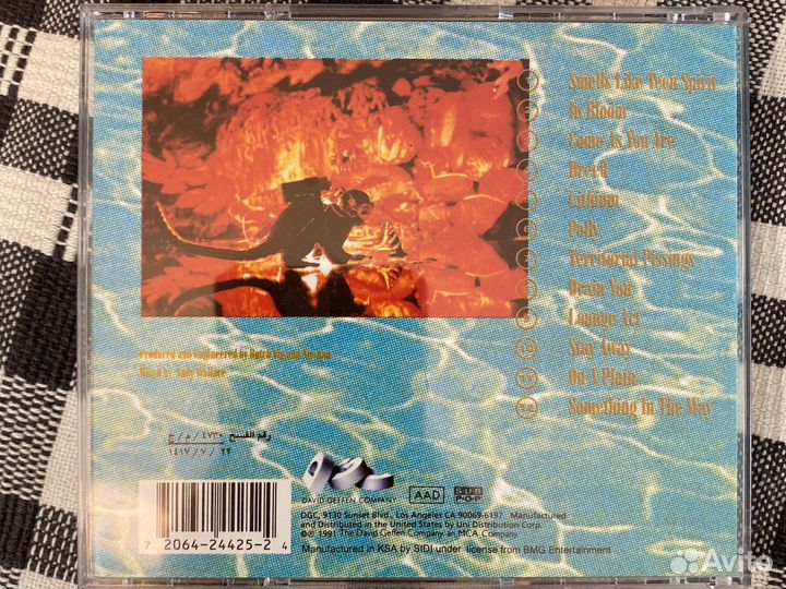 Nirvana Nevermind в трусиках