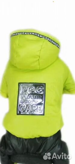 Одежда для собак мелких пород зима