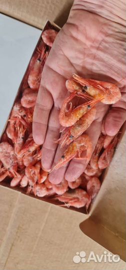 Креветки, крабы, рыба, морепродукты опт
