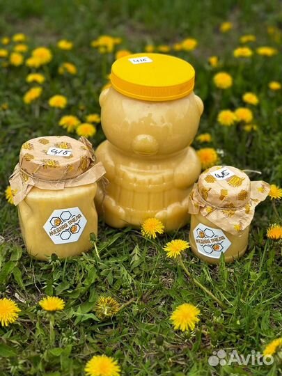 Мед донниковый