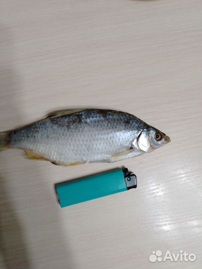 Вяленая рыба