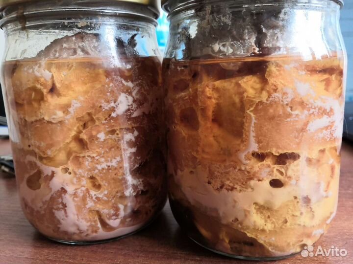 Печень трески