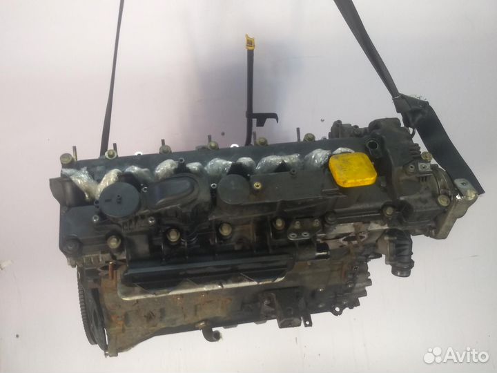 Двигатель Opel Omega B Y25DT