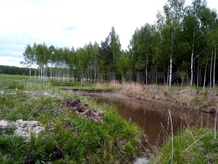 Участок 12,86 га (СНТ, ДНП)