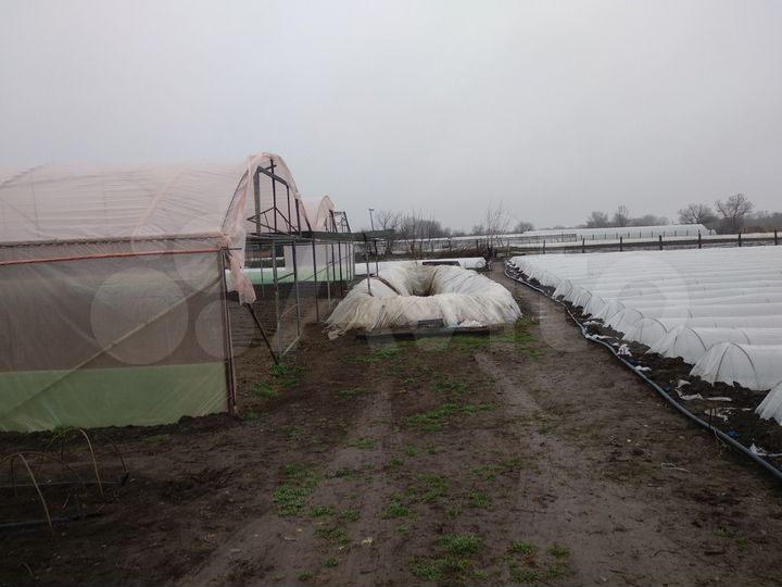 Участок 45 сот. (ИЖС)