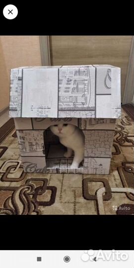 Домик для животных