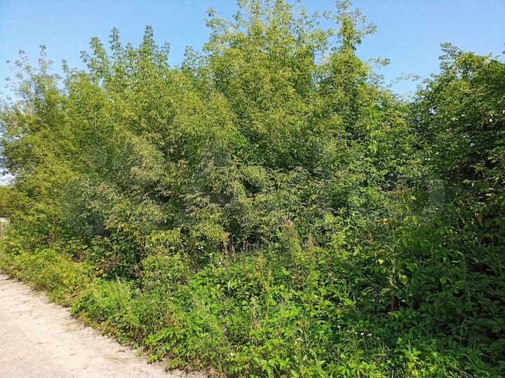 Участок 45 сот. (ИЖС)