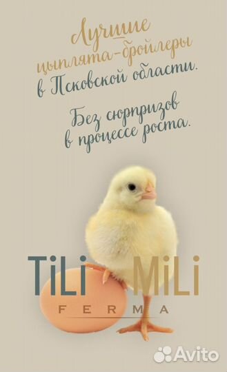 Цыплята бройлеры