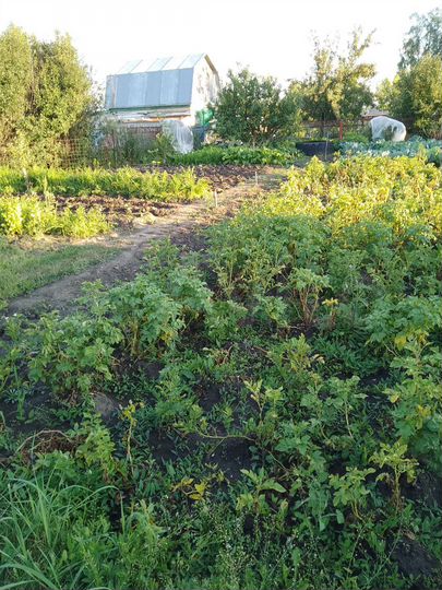 Дача 10 м² на участке 6 сот.