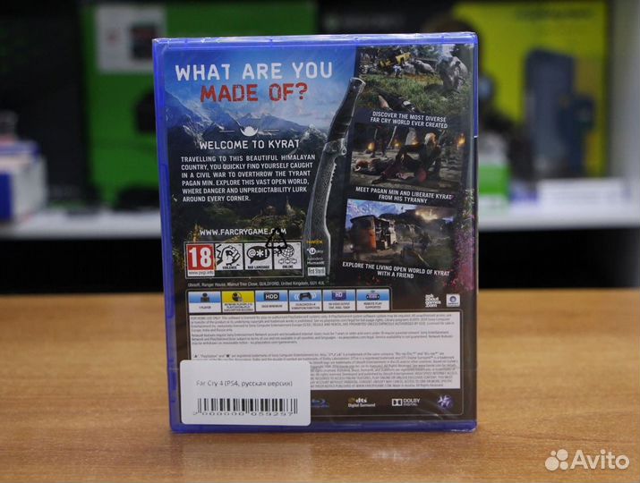 Far Cry 4 (PS4, русская версия)