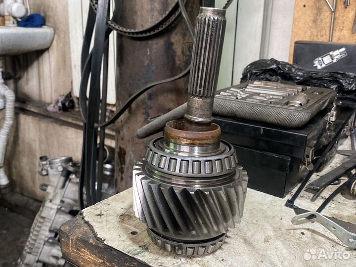 Паросенок на 221 mercedes