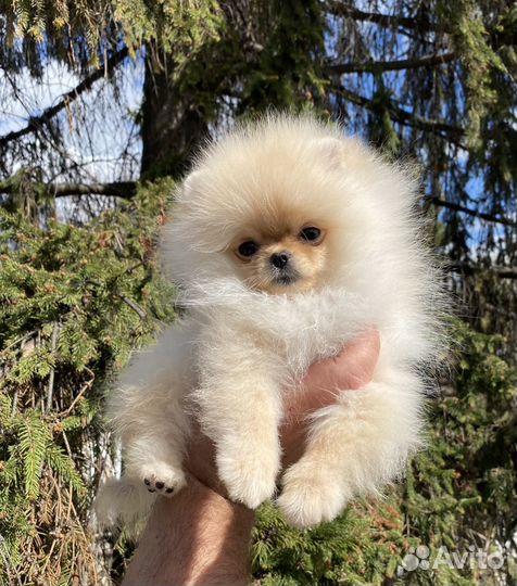 Кукольная малышка