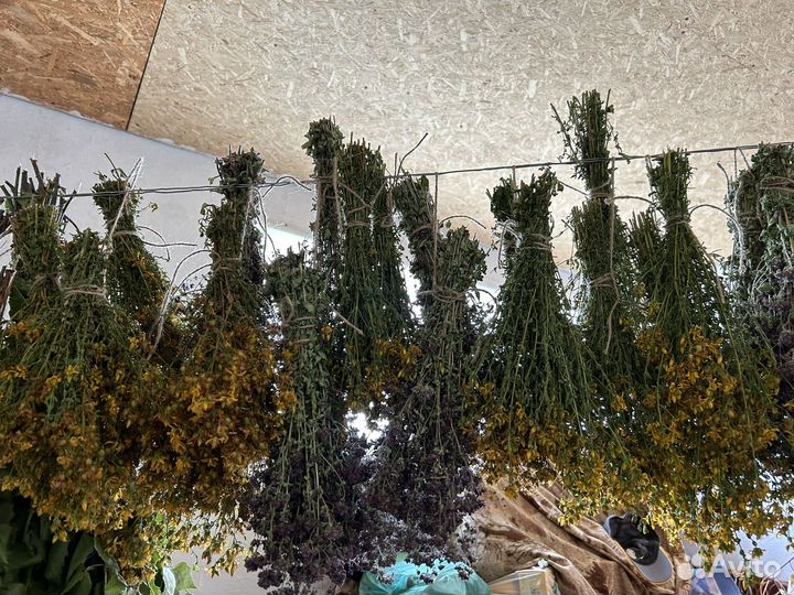 Душица, чабрец, зверобой, шалфей, иван-чай, мята