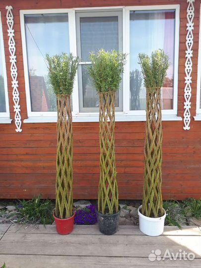 Пальма из ивы