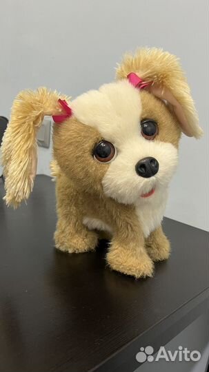 Furreal friends Интерактивная собачка Bouncy