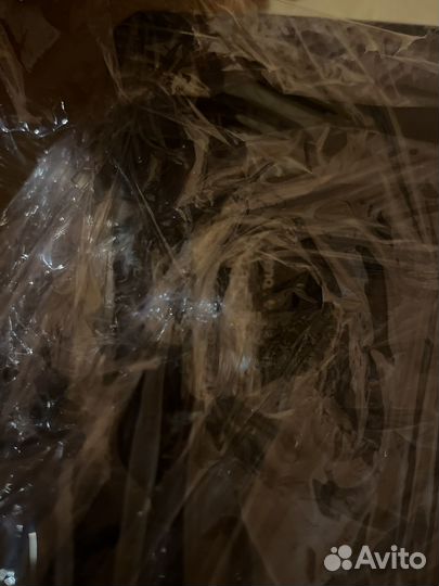 Монитор для компьютера