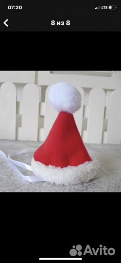 Костюм на собаку