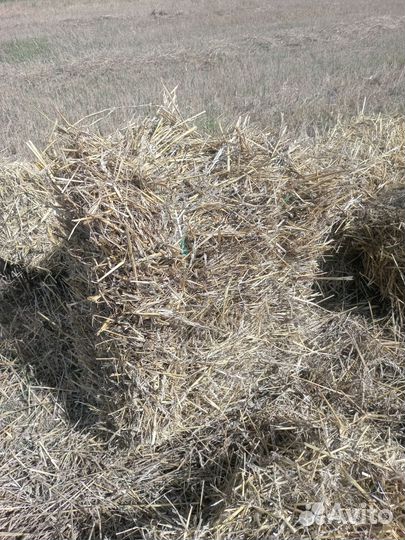 Солома в тюках