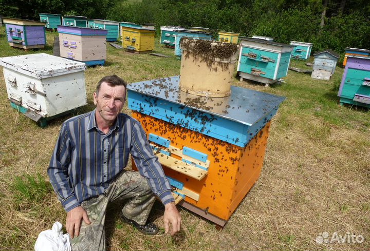 Мёд цветочный, прополис, доставка по РФ