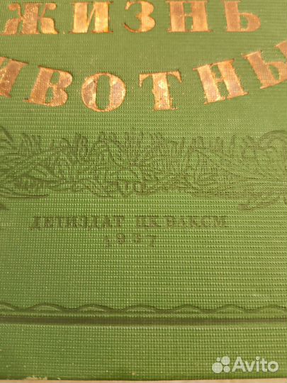 Старинная книга жизнь животных 1957 год