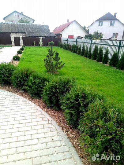 Газон под ключ