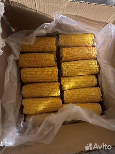 Индийская кукуруза