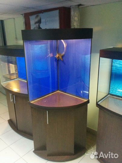 Аквариум 180л. угловой, биофильтр, свет, тумба