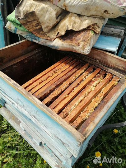 Продам ульи для пчёл, цена договорная