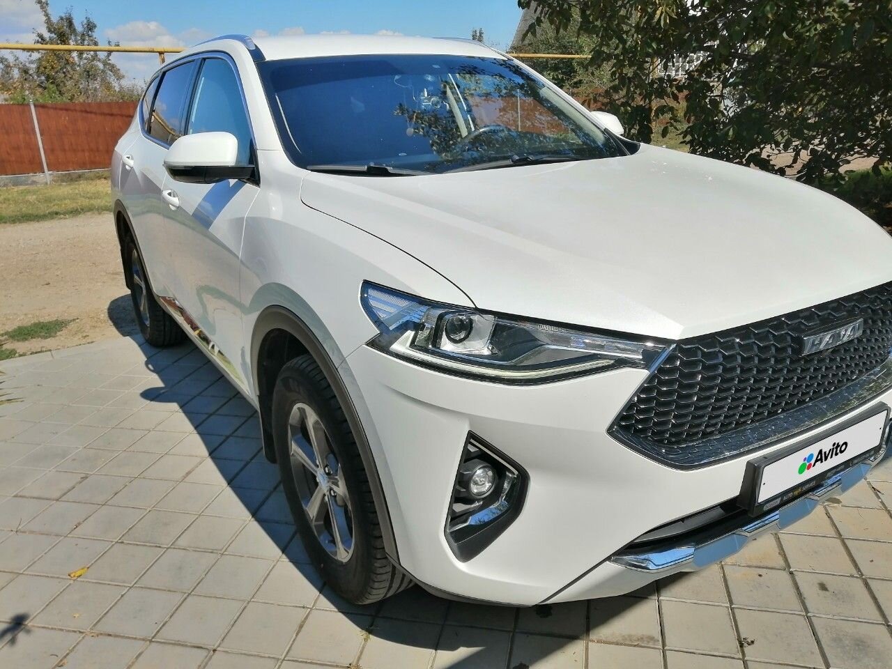 HAVAL F7: фото владельца